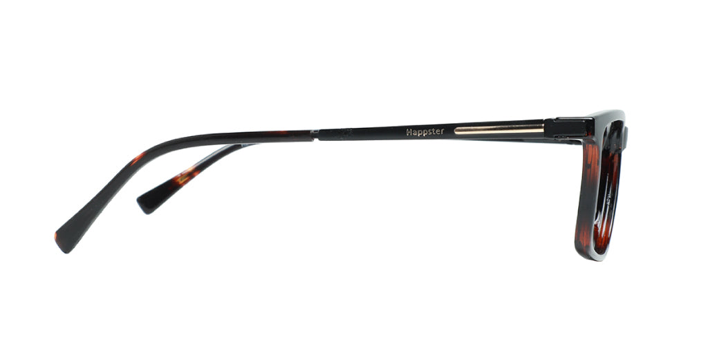 Brown Tortoise_With_Black