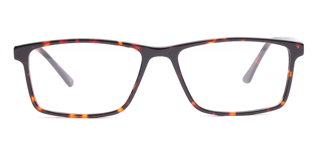 Glossy_Brown_With_Tortoise