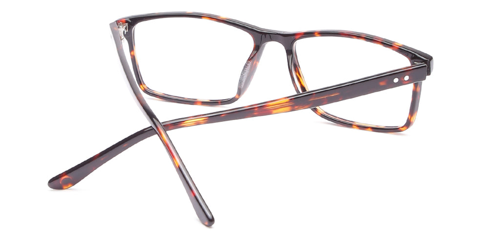 Glossy_Brown_With_Tortoise