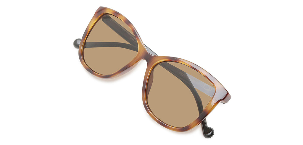 Brown_Demi_with_Brown_Lens