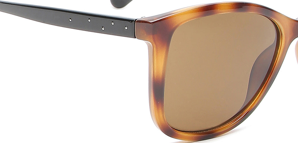 Brown_Demi_with_Brown_Lens