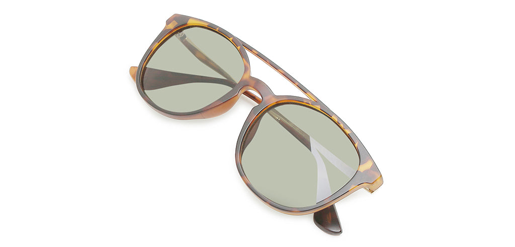 Brown_Demi_with_Green_Lens