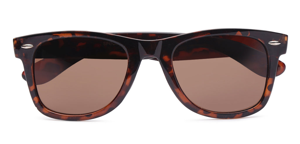 Brown_Demi_with_Demi_Lens