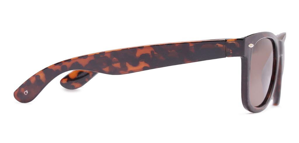 Brown_Demi_with_Demi_Lens