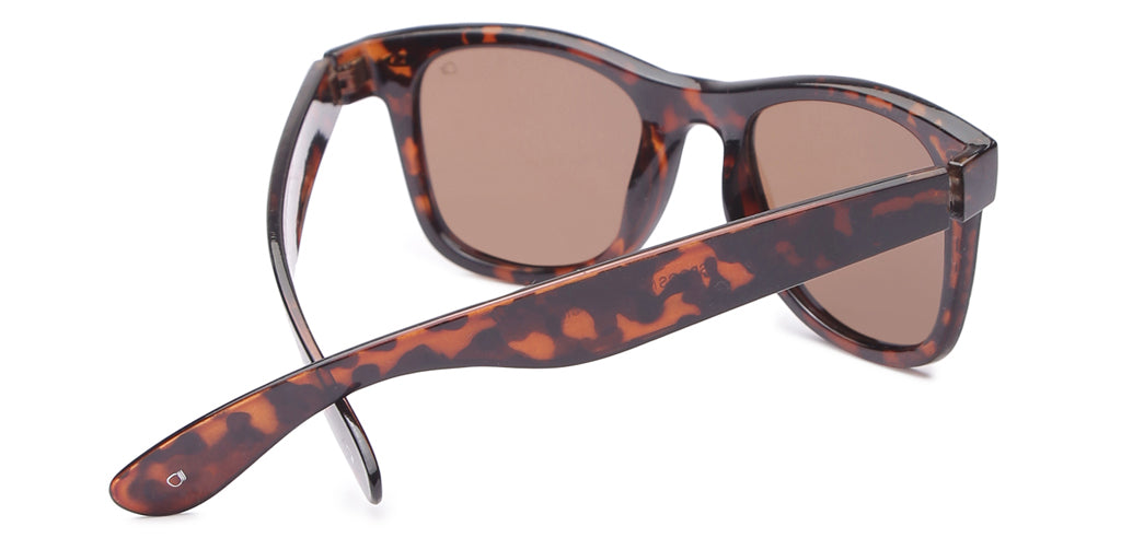 Brown_Demi_with_Demi_Lens