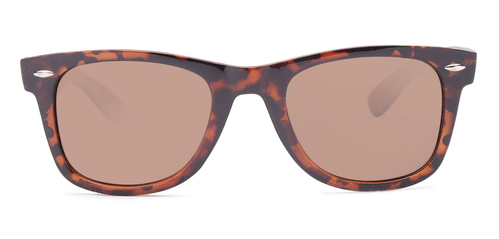 Brown_Demi_with_Demi_Lens