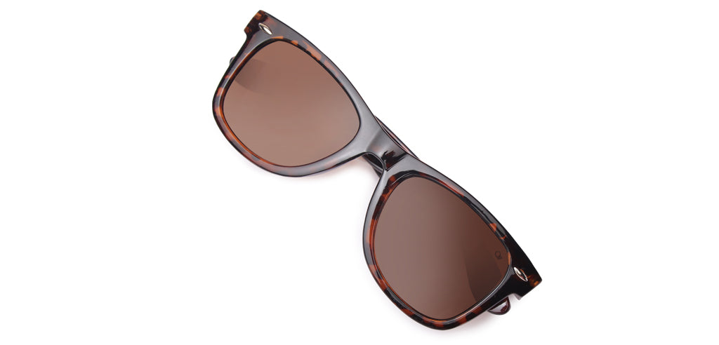 Brown_Demi_with_Demi_Lens