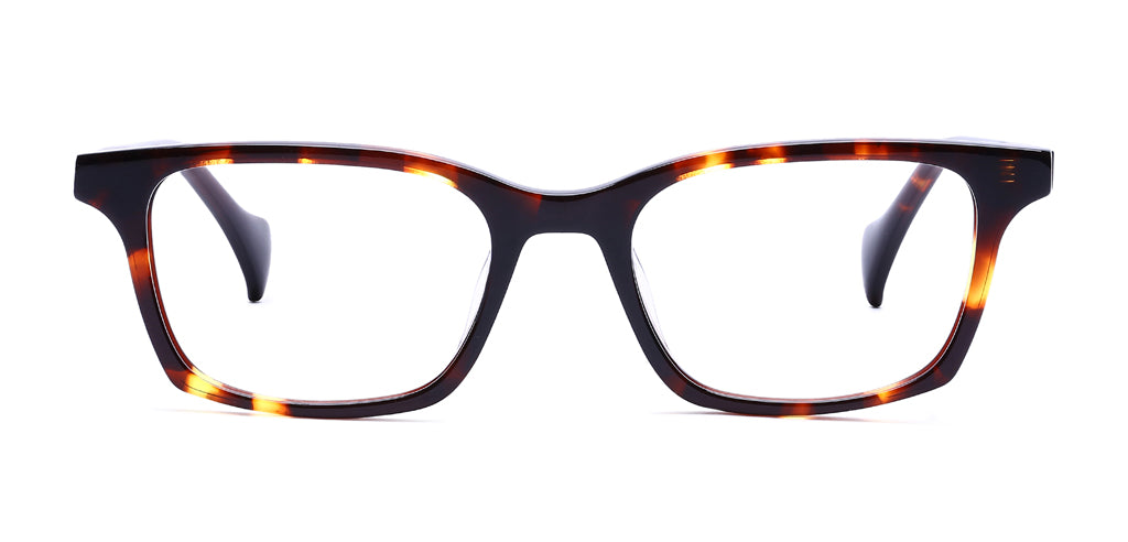 Brown_Demi_with_Gunmetal