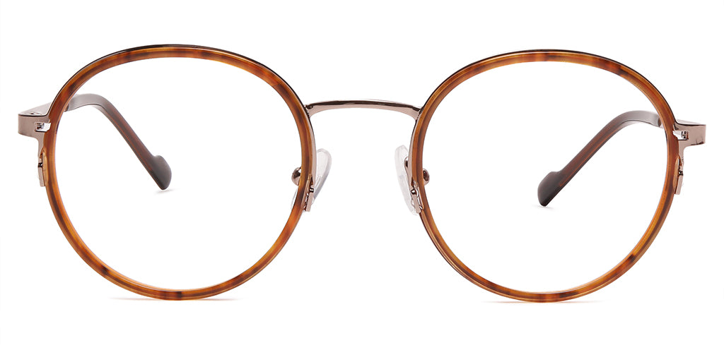 Brown_Tortoise_with_Gold