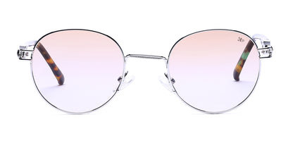 Silver_with_Brown_Lens