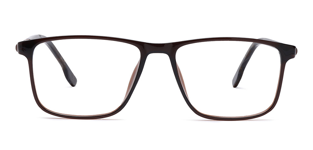 Brown_with_Brown