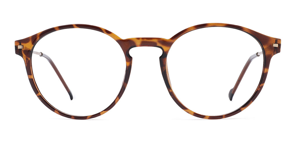 Brown_Demi_with_Gold