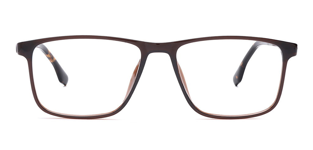 Brown_with_Brown