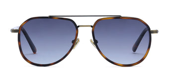 Brown_Demi_with_Grey_Lens