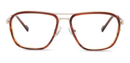 Brown_Tortoise_with_Gold