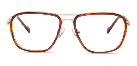Brown_Tortoise_with_Gold