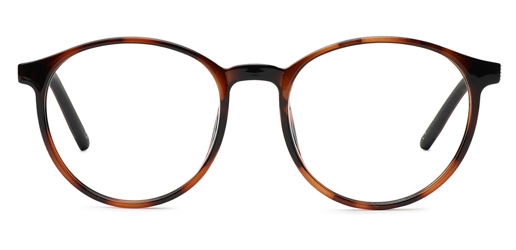 Brown_Tortoise_with_Brown