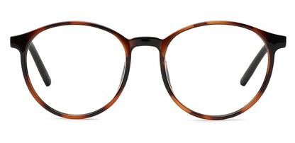 Brown_Tortoise_with_Brown