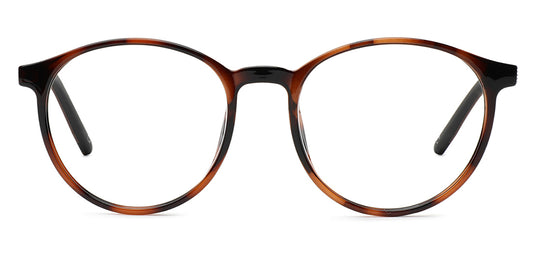 Brown_Tortoise_with_Brown