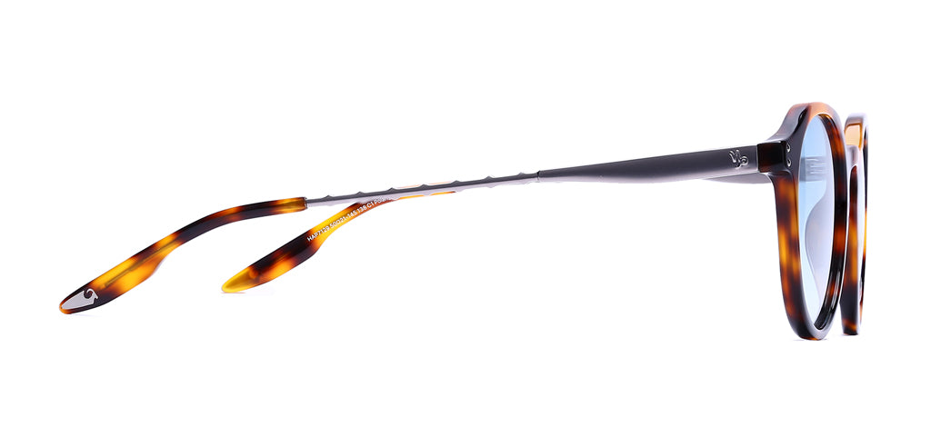 Brown_Demi_with_Blue_Lens