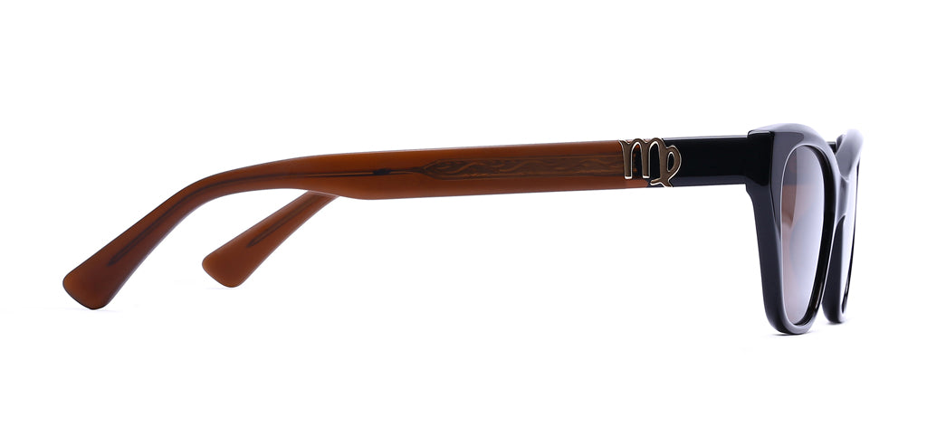 Black_with_Brown_Lens