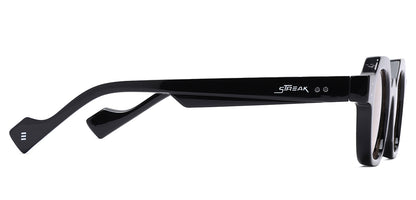 Black_with_Brown_Lens