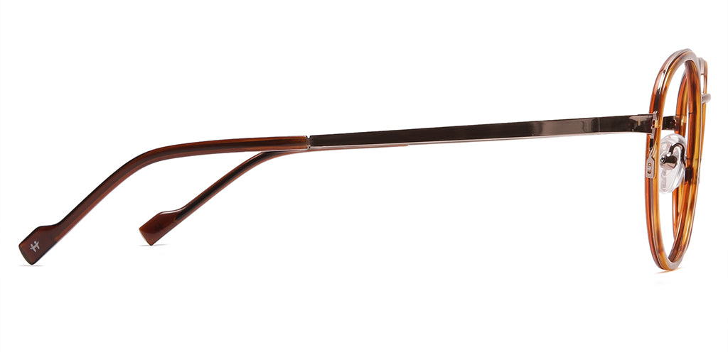 Brown_Tortoise_with_Gold