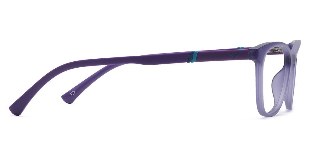 Purple_Matte_with_Purple