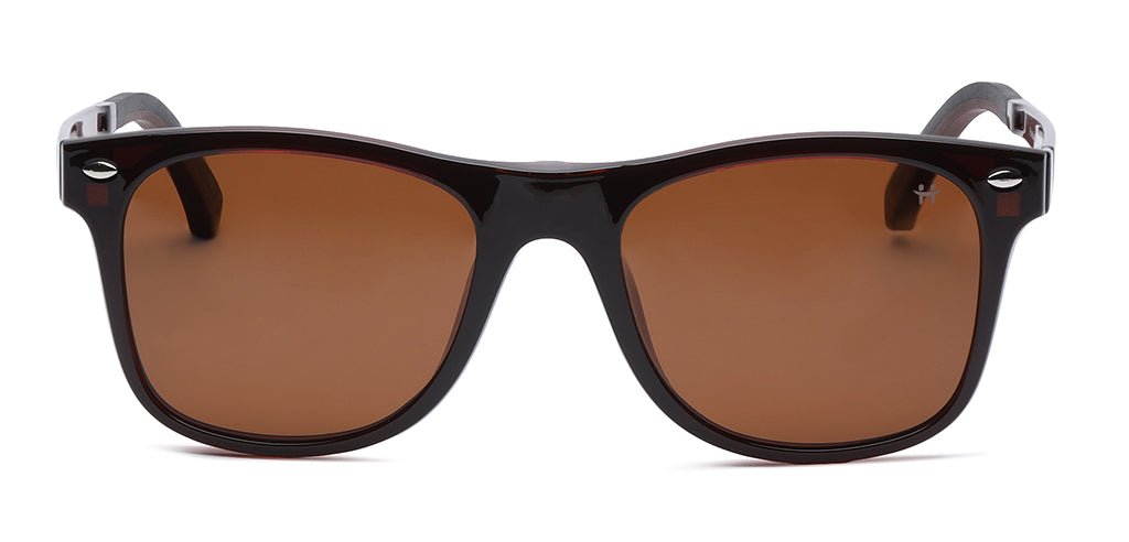 Glossy_Brown_With_Brown