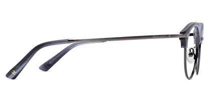GREY_TORTOISE_WITH_GUNMETAL