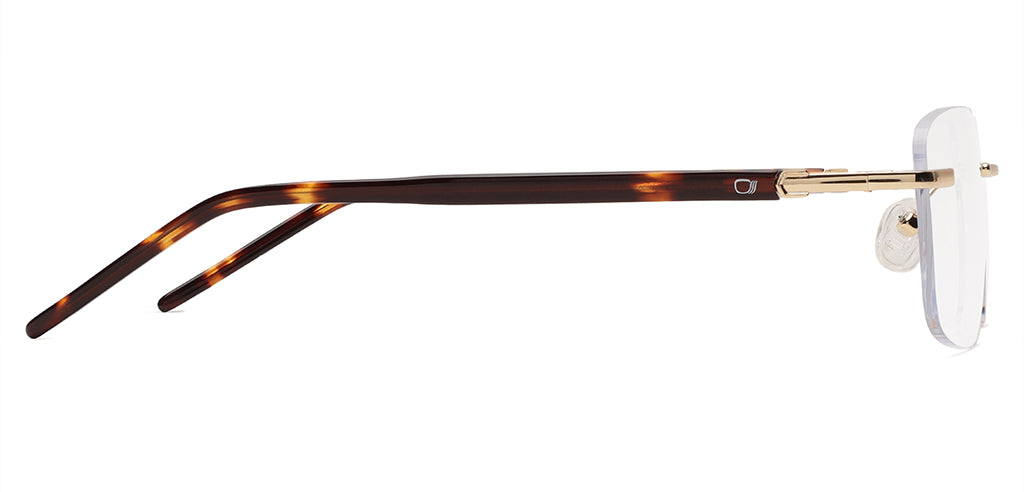 Glossy_Gold_with_Tortoise