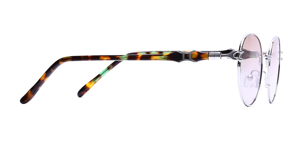 Silver_with_Brown_Lens