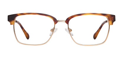 Brown_Demi_with_Gold