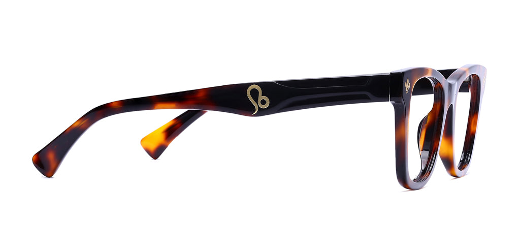 Brown_Demi_with_Demi