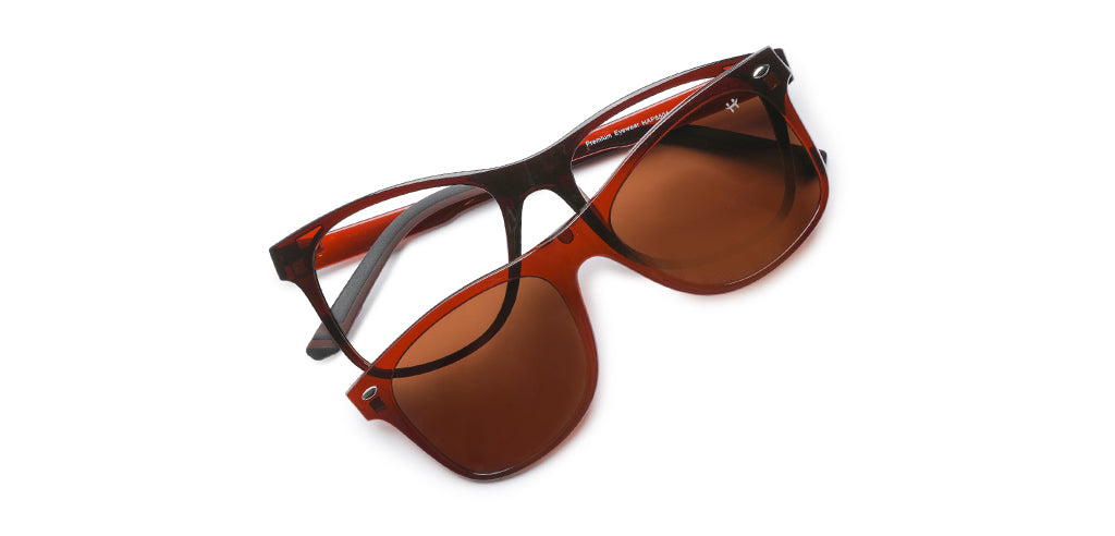 Glossy_Brown_With_Brown