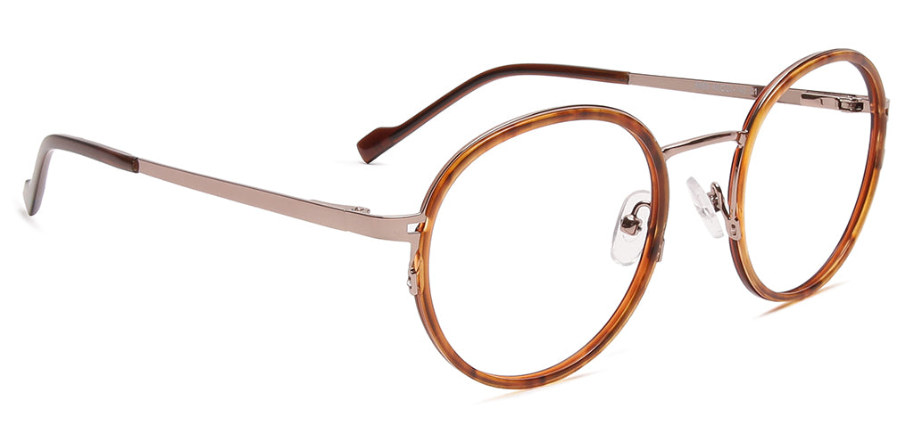 Brown_Tortoise_with_Gold