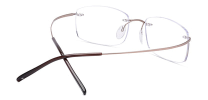 Brown_Matte_with_Brown
