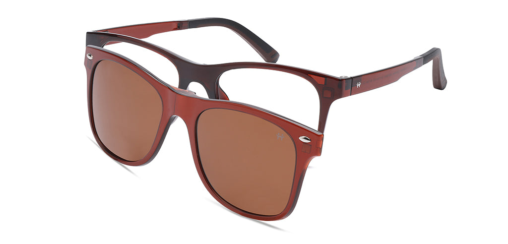 Glossy_Brown_With_Brown