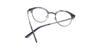 GREY_TORTOISE_WITH_GUNMETAL
