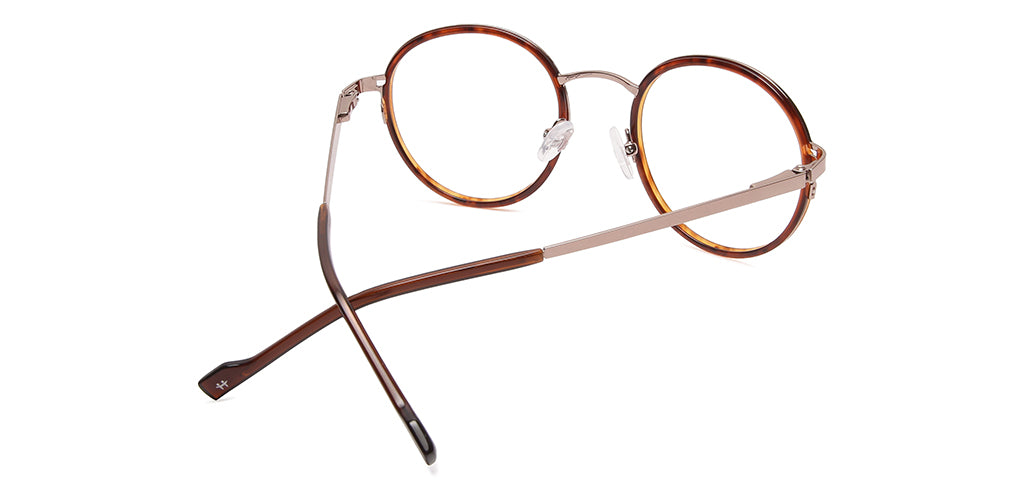 Brown_Tortoise_with_Gold