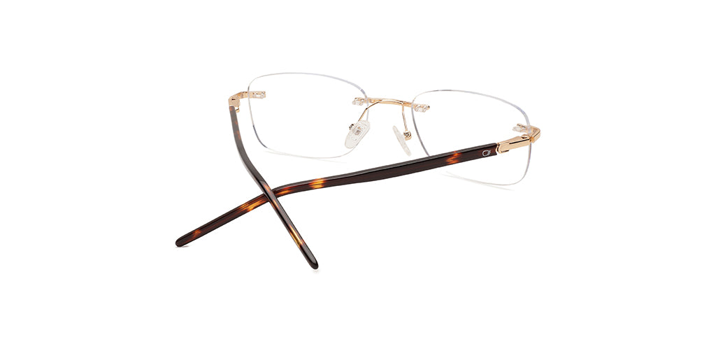 Glossy_Gold_with_Tortoise