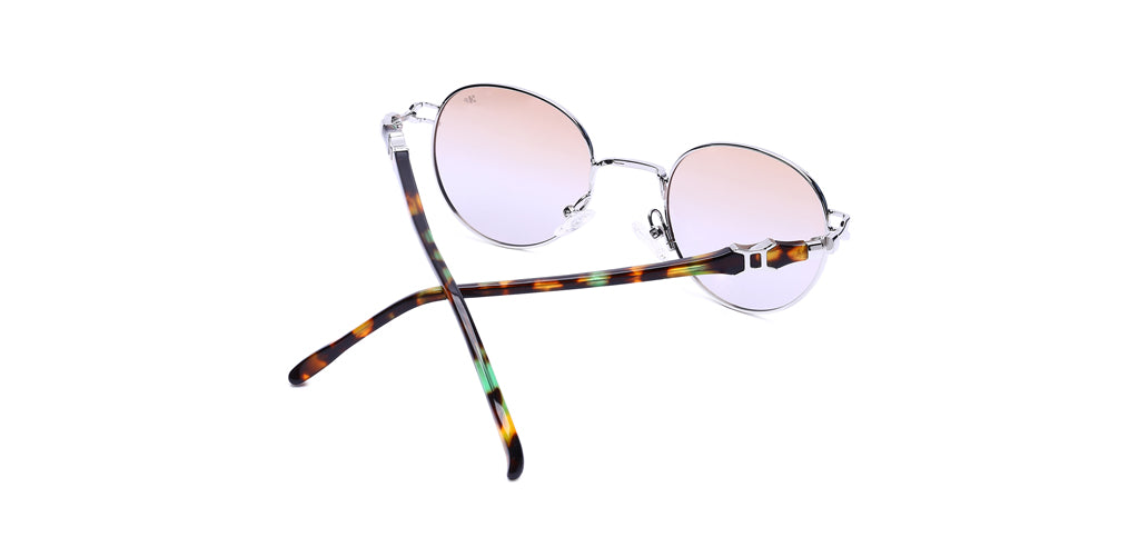 Silver_with_Brown_Lens