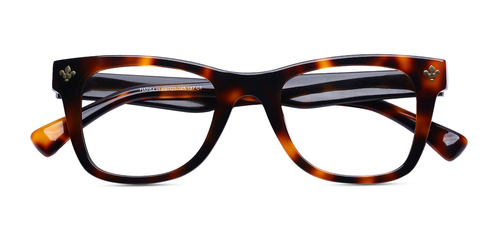 Brown_Demi_with_Demi