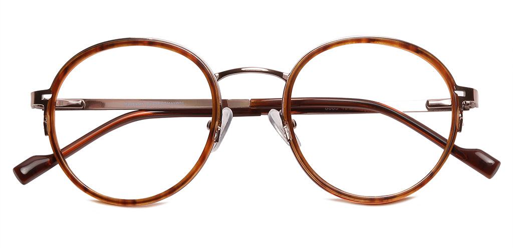 Brown_Tortoise_with_Gold