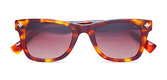 Brown_Demi_with_Brown_Lens