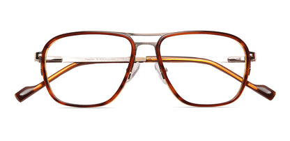 Brown_Tortoise_with_Gold