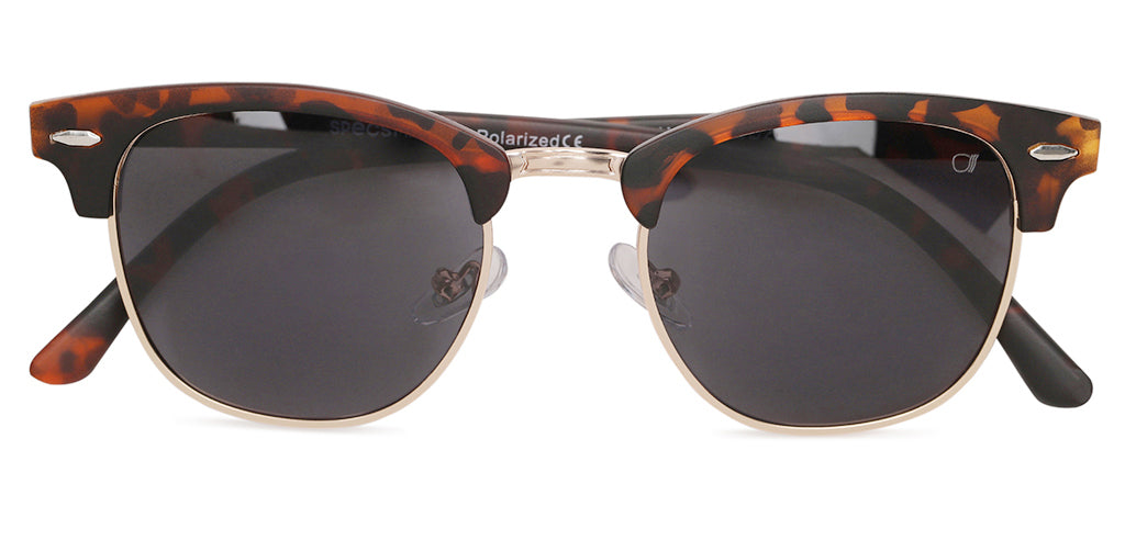 Brown_Demi_with_Grey_Lens