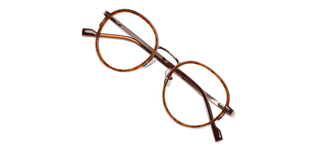 Brown_Tortoise_with_Gold