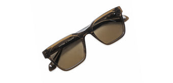 Brown_Transparent_with_Brown_Lens