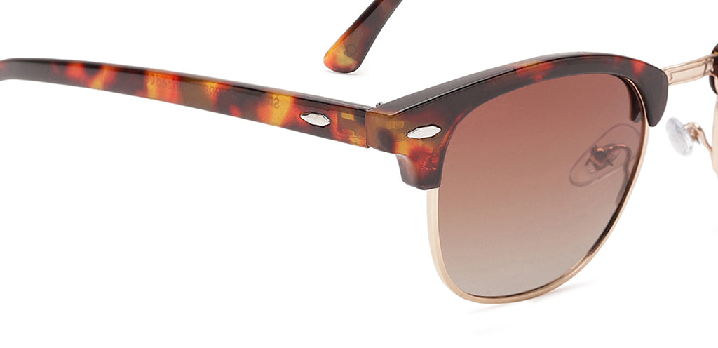 Brown_Demi_with_Brown_Lens